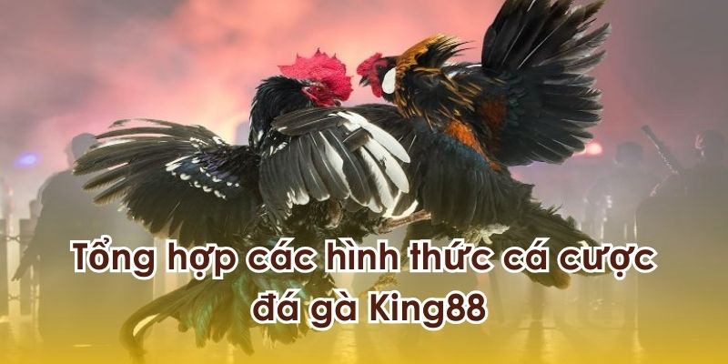 Cập nhật các hình thức cá cược đá gà King88